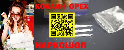 крисы Шелехов