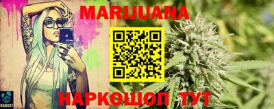 крисы Шелехов