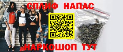 крисы Шелехов