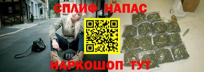 гидра Шахты
