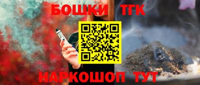 крисы Шелехов