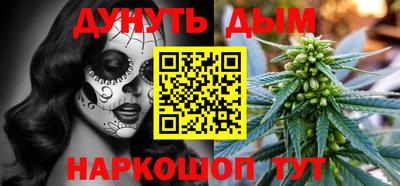 крисы Шелехов